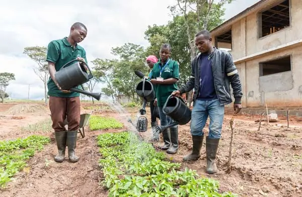 Agricultural school Tanzania - Pupils water young plants