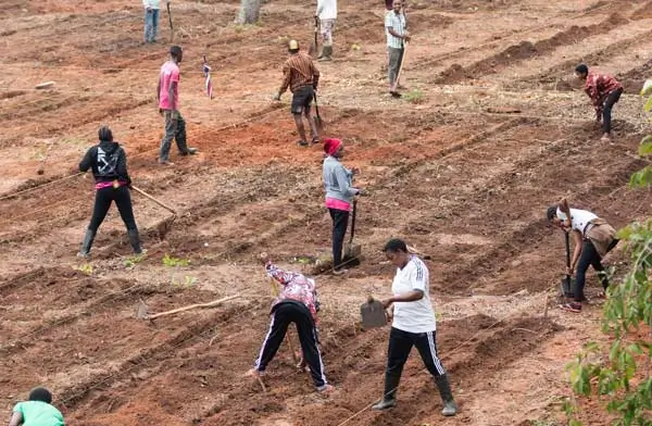 Agricultural school Tanzania - Pupils working in the fields